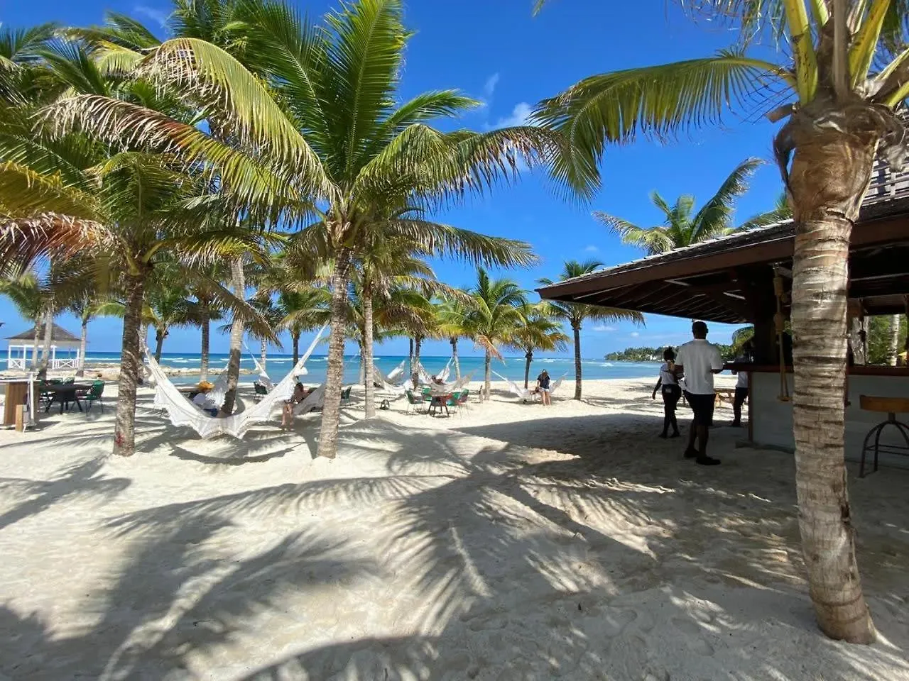 Hospitality Expert Bts 2 - Pool Beach & Chef Montego Bay